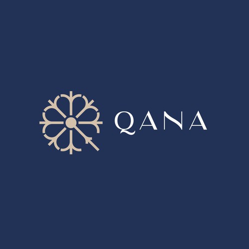 logo concept for qana