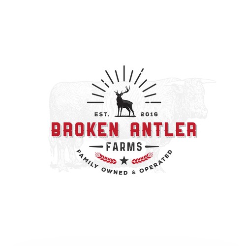 Logo concept for family owned cattle farm