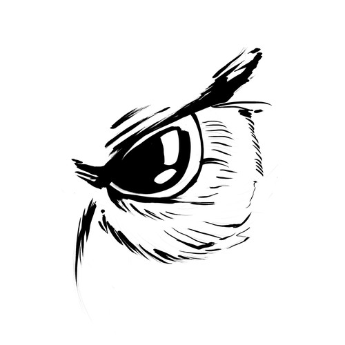 Owl Eye