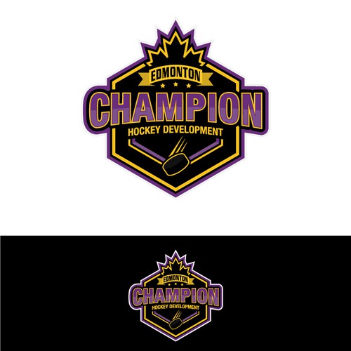 Hockey Training Logo Needed. Guaranteed Prize. Will feedback EVERY design