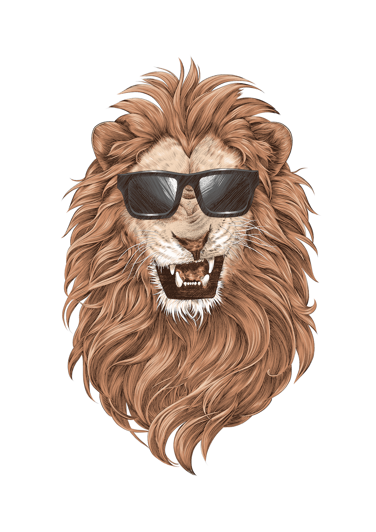 Illustrations for clothing company