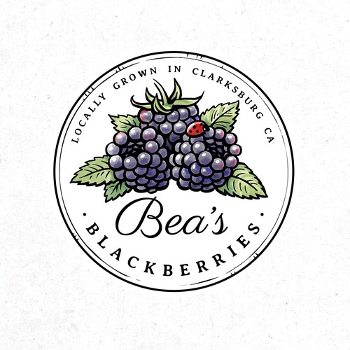 Bea’s Blackberries