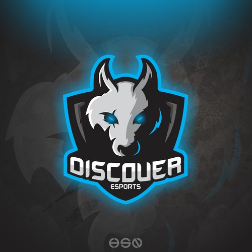 DISCOVER ESPORTS