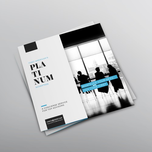 Sophisticated brochure for Platinum program