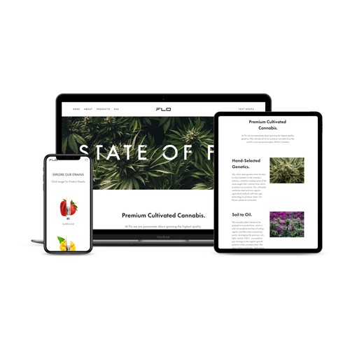 Informational Landing Page