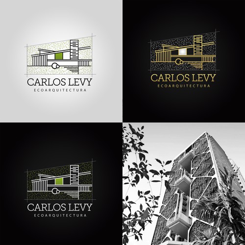 Arquitecto Carlos levy