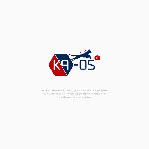 Logo for a software company