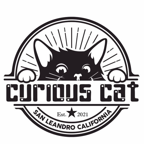 curious cat 