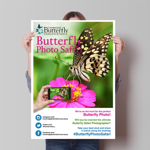 We need a fun and engaging poster for Butterfly Photo Safari!