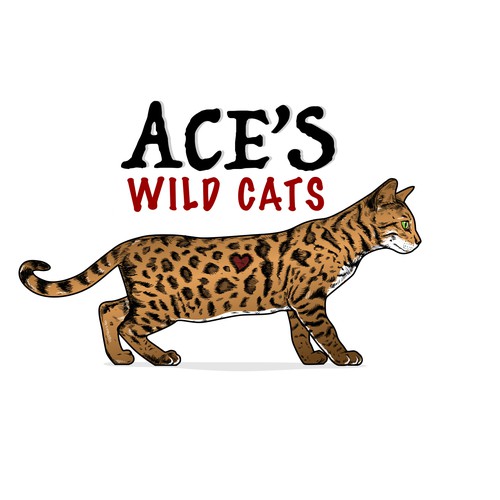 beautiful exotic looking spotted cat design to attract cat fanciers