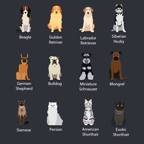 Dogs and Cats Flat UI Design