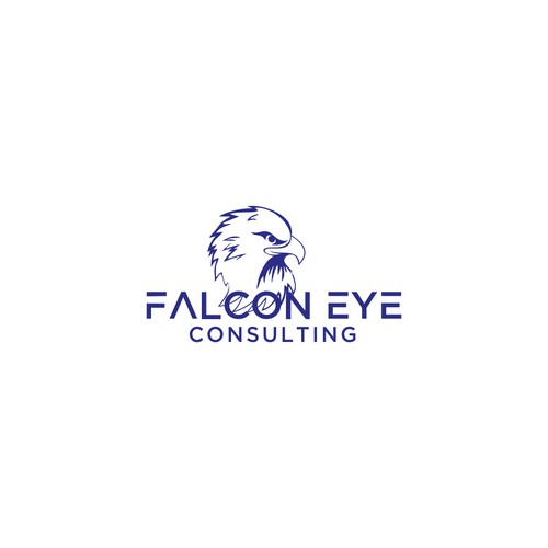 Falcon Eye Consulting