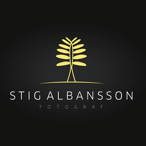 Create the next logo for Stig Albansson (photographer - fotograf)