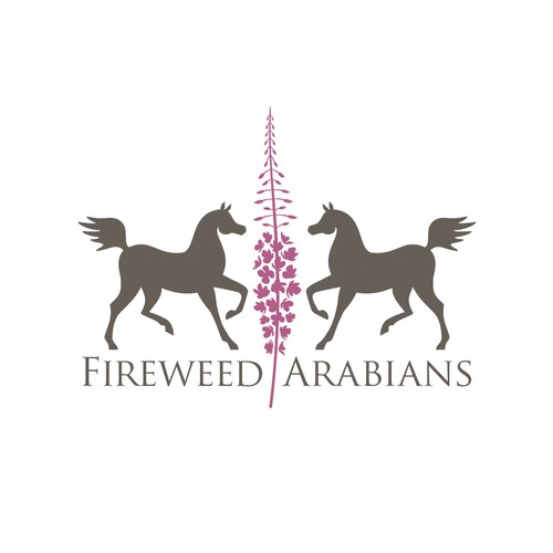 Fireweed Arabians