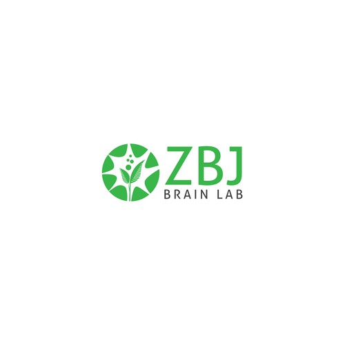 ZBJ BRAIN LAB