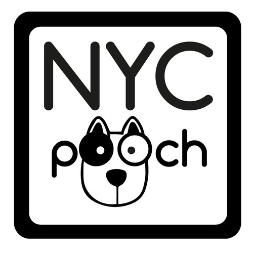 NYC pooch