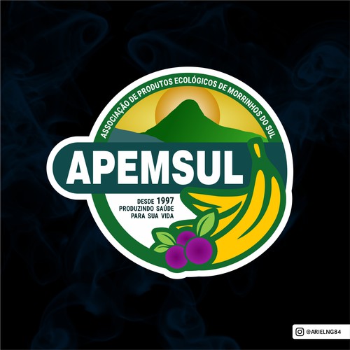 Logo Design APEMSUL