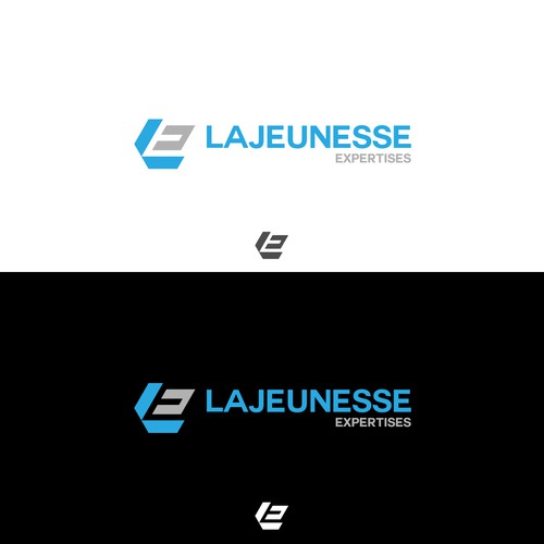 LE concept logo
