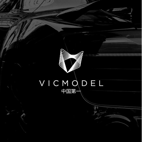 Vic Model