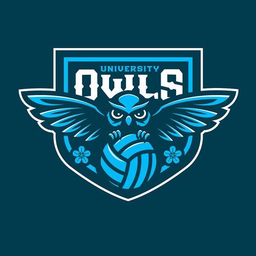 Logo for volleyball team
