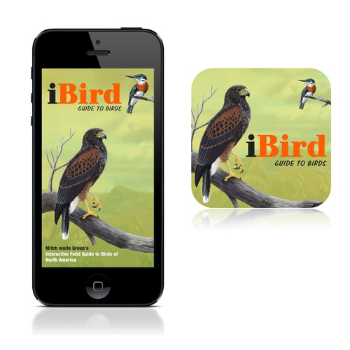 Create a splash screen and icon for iBird Ultimate for the iPhone