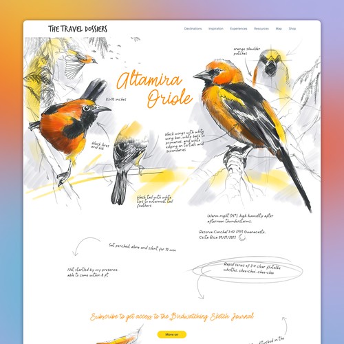 Altamira Oriole Landing Page Design