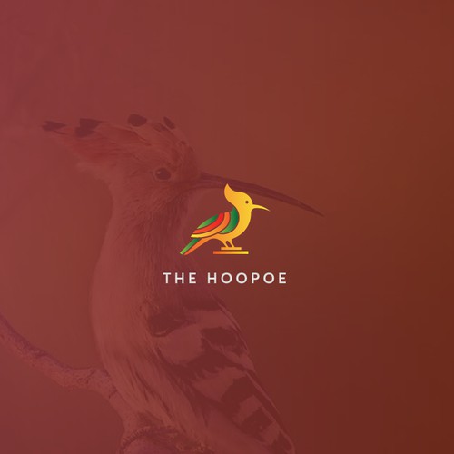 The hoopoe