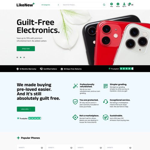 Electronics webpage design