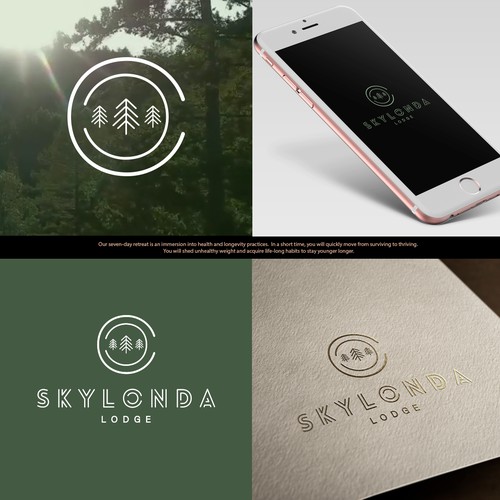 Logo concept for skylonda