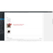 Reviewed design