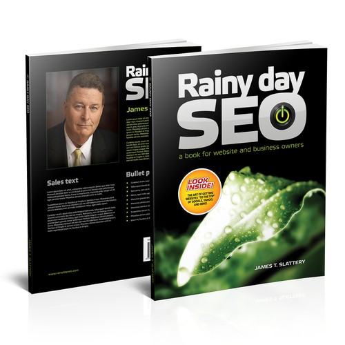 BIG RELEASE BOOK:  Rainy Day SEO  (Cover Needed)