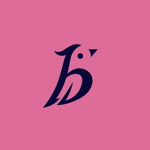 Birdy Logo design & Brand identity