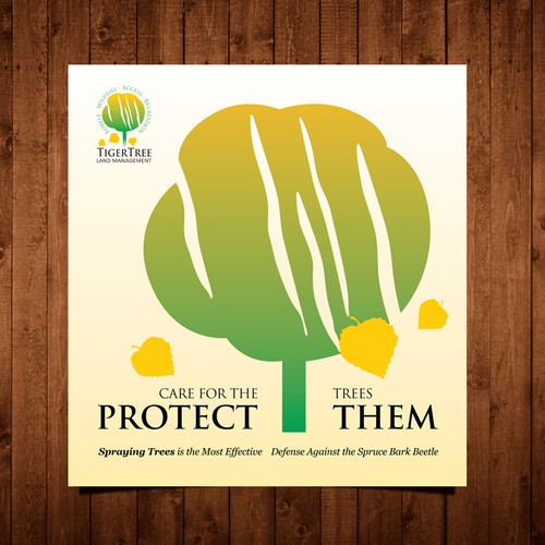 Create the next brochure design for TigerTree Land Management 