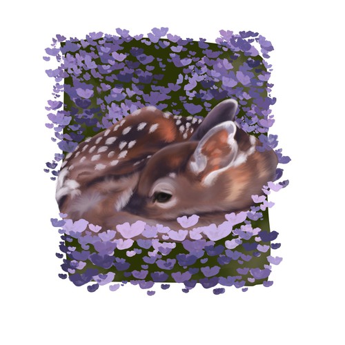 little deer