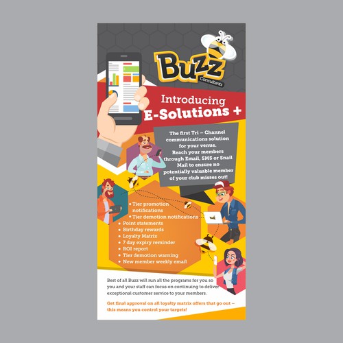 Flyer design for an E- consultant