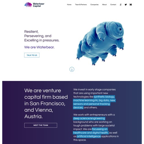 Website Concept for a venture capital