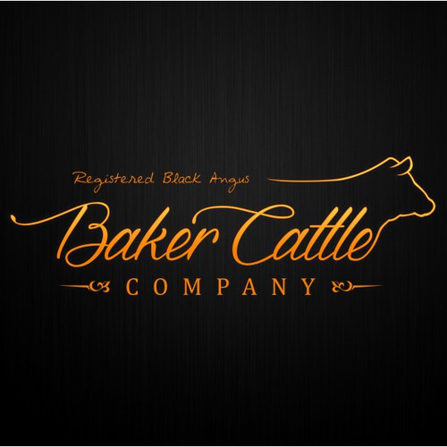 Create a new business logo for Baker Cattle Company