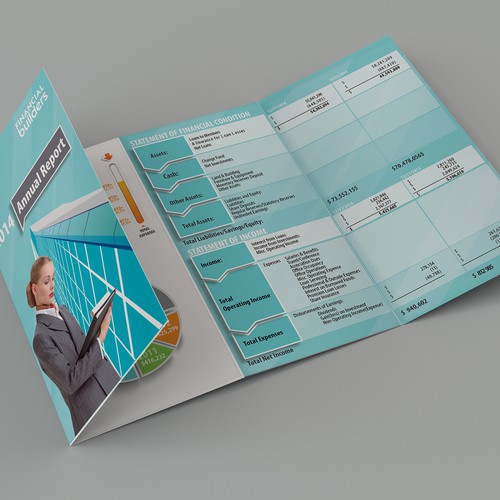 Create an infographic-like pamphlet to illustrate financial data