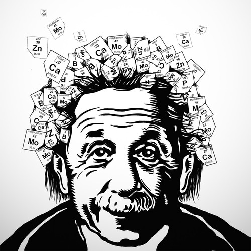 Create a Einstein Nutrient Illustration for our "Are You Deficient?" game