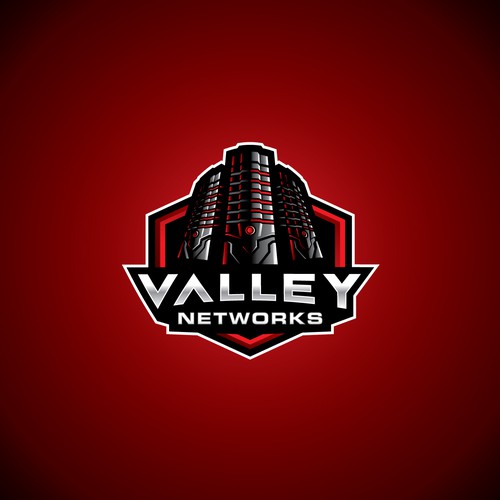 Valley Networks logo