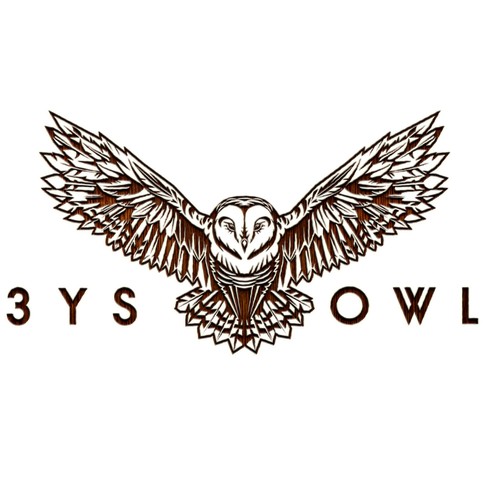 3YSOwl