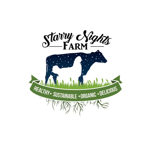 Propuesta de Diseño - Starry Nights 