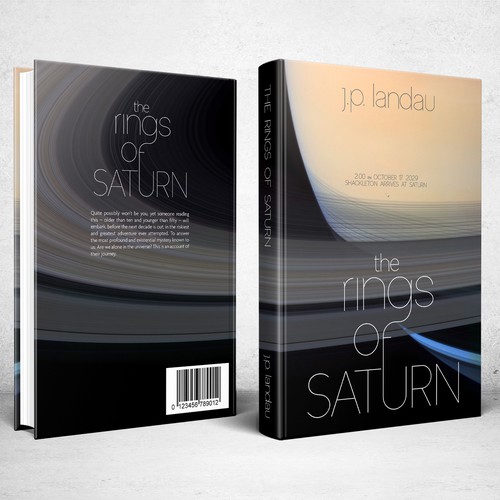 Book cover for The Rings Of Saturn