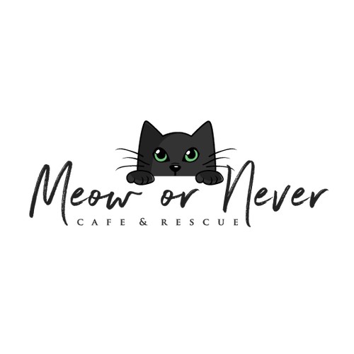 Meow or Never Cafe & Rescue
