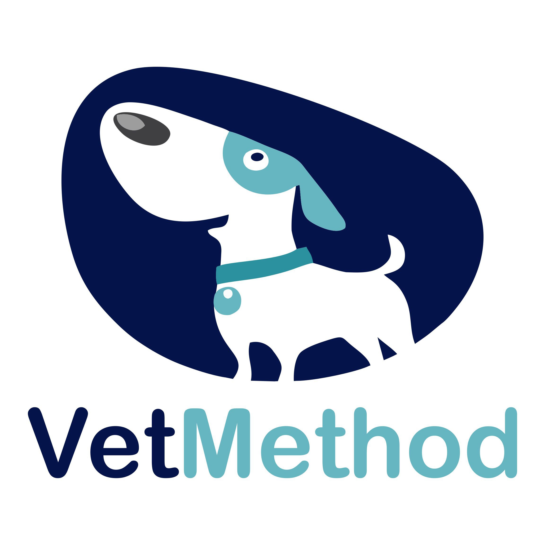 Logo for VetMethod