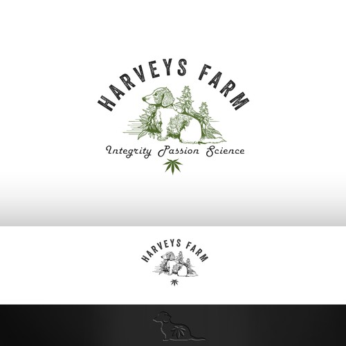 Harvey's Farm