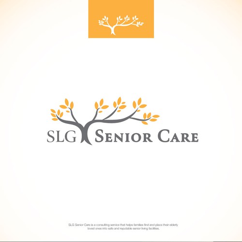 Senior Care Consulting