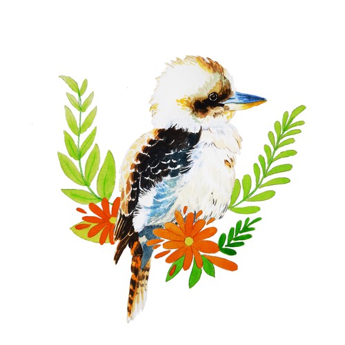 Kookaburra 