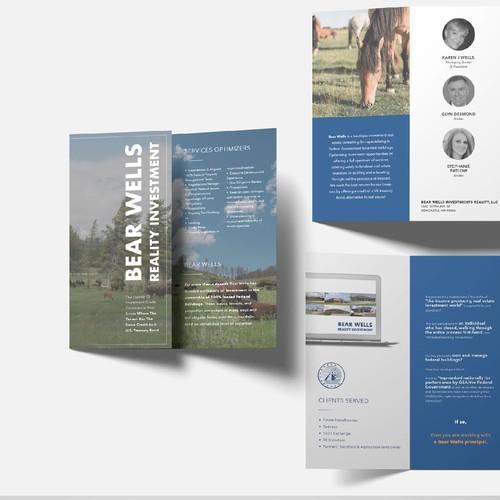 brochure design