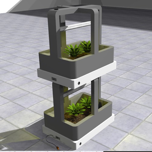 Indoor mini garden concept 